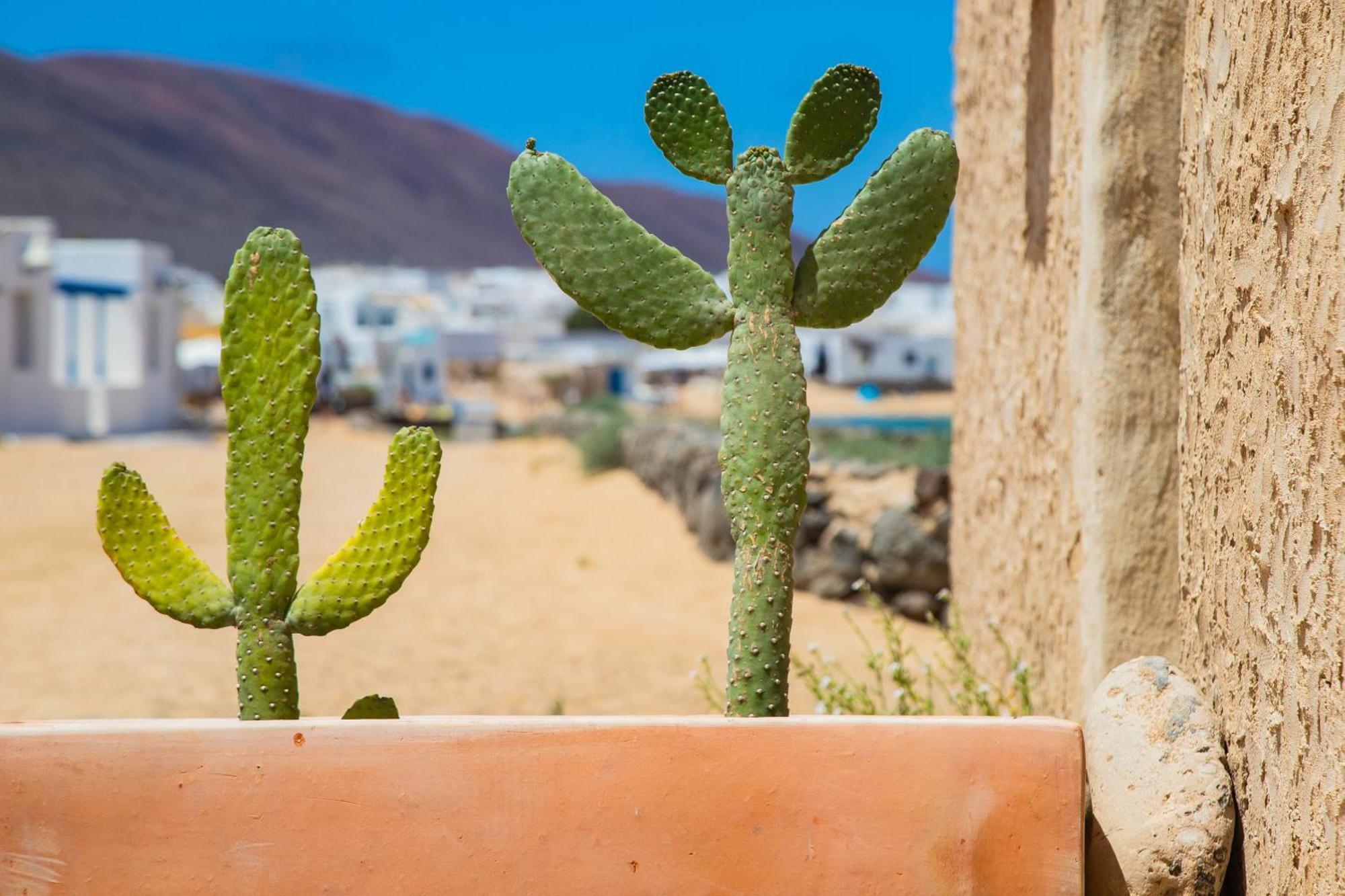 Eslanzarote La Duna House, Wifi, Sea Views Caleta de Sebo Extérieur photo